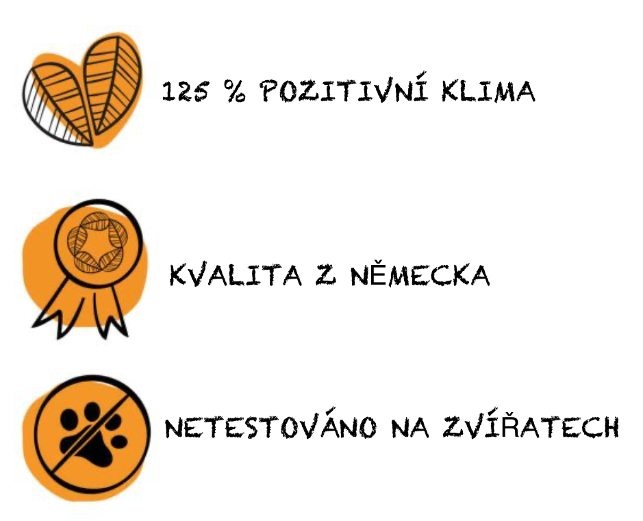 Snímek obrazovky 2025-03-02 v 20.54.19